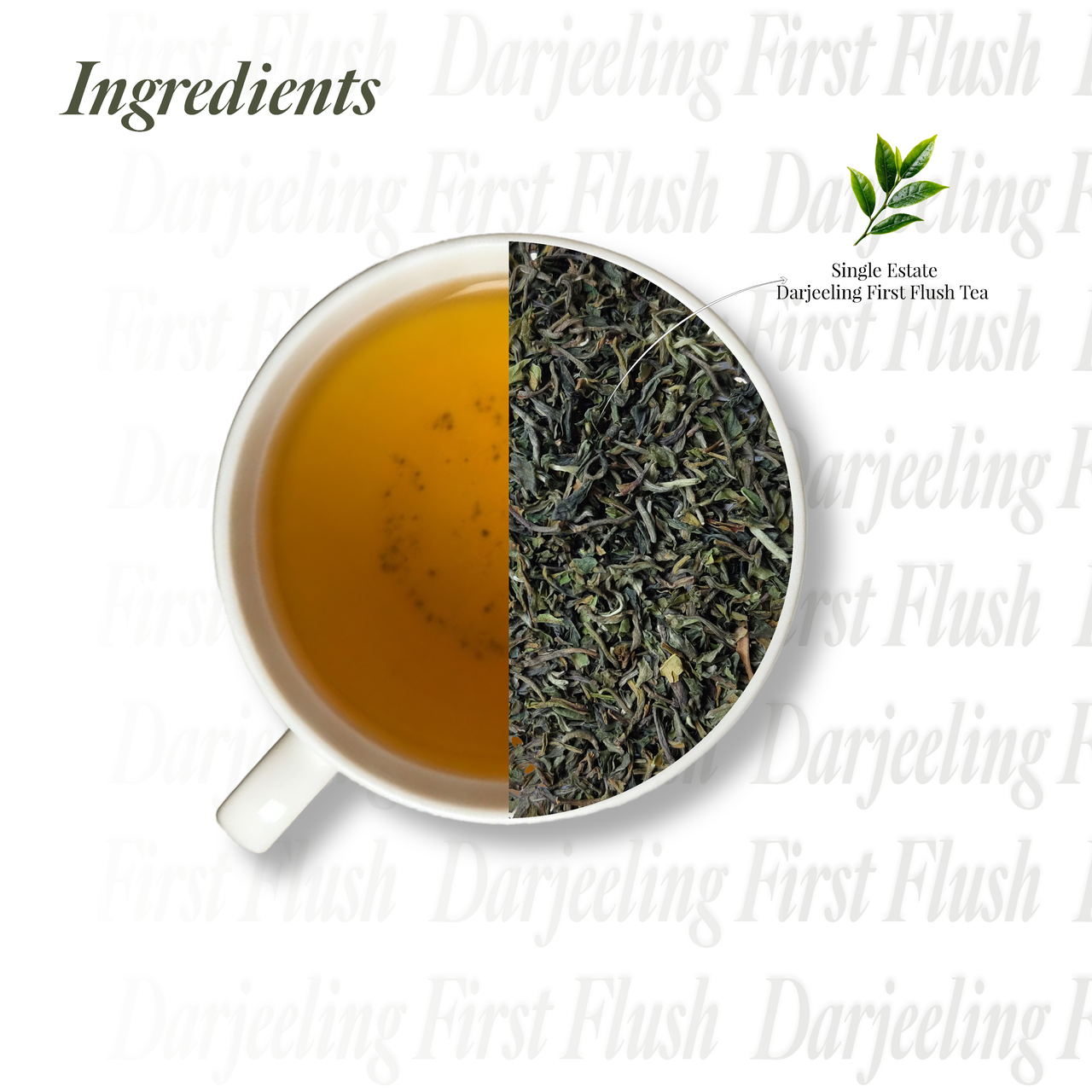 Saffron Cup Darjeeling First Flush Black Tea - 50gm (Airtight Double-Lid Tin)