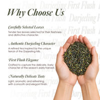 Thumbnail for Saffron Cup Darjeeling First Flush Black Tea - 50gm (Airtight Double-Lid Tin)
